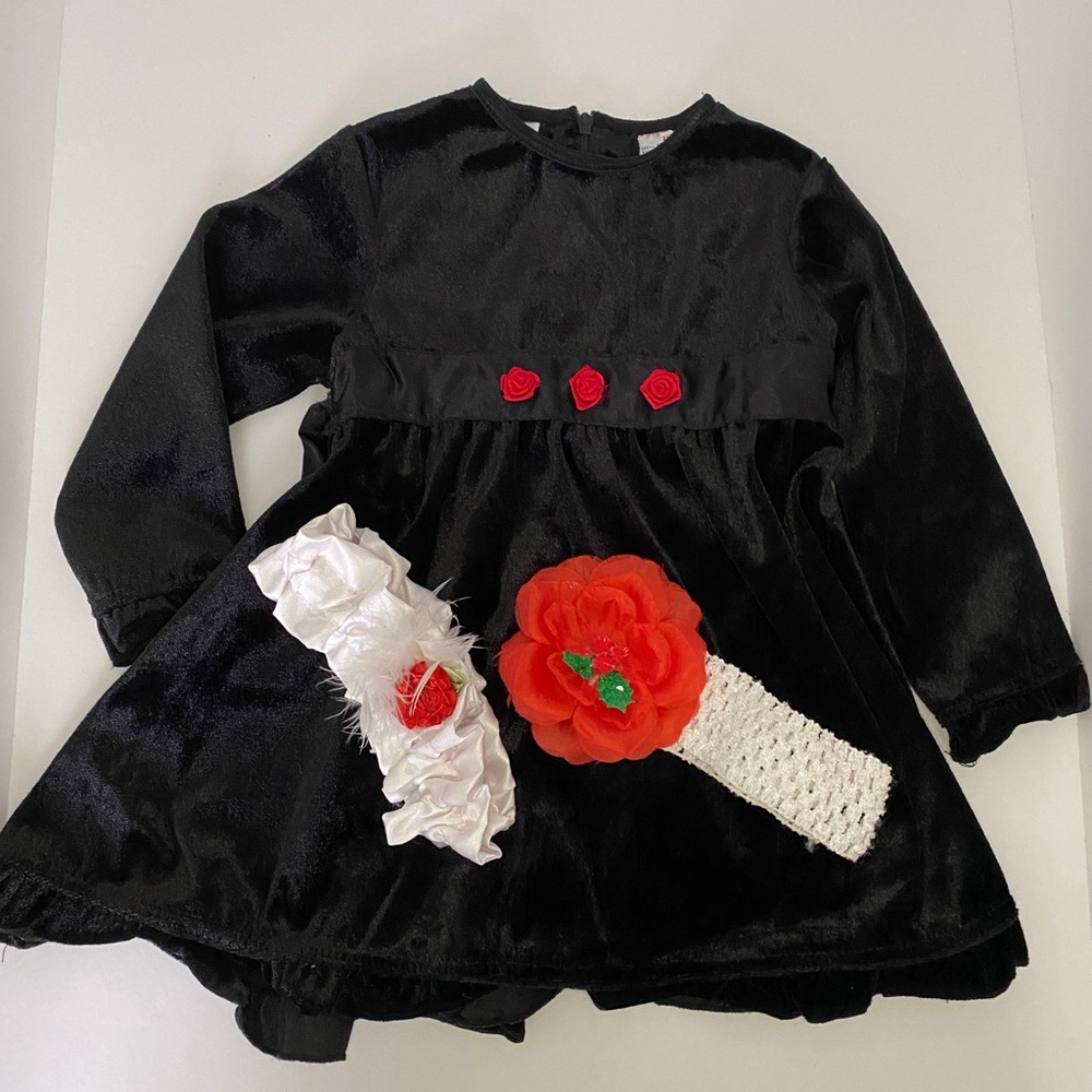 Toddler Black Velvet Dress With Roses (24 months)
